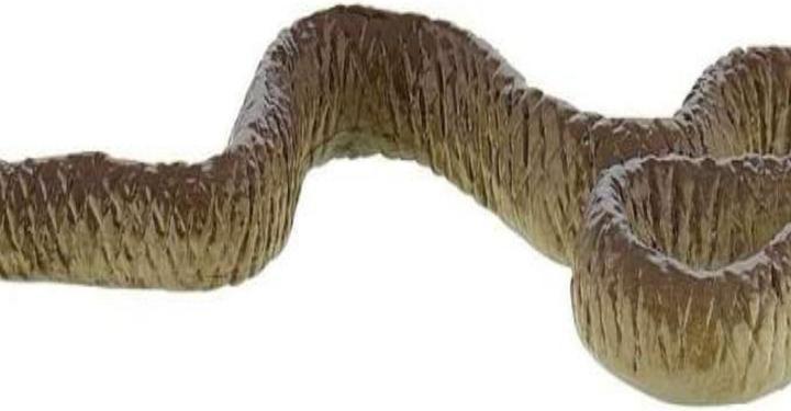 Produktbild Bullyland Schwarze Mamba