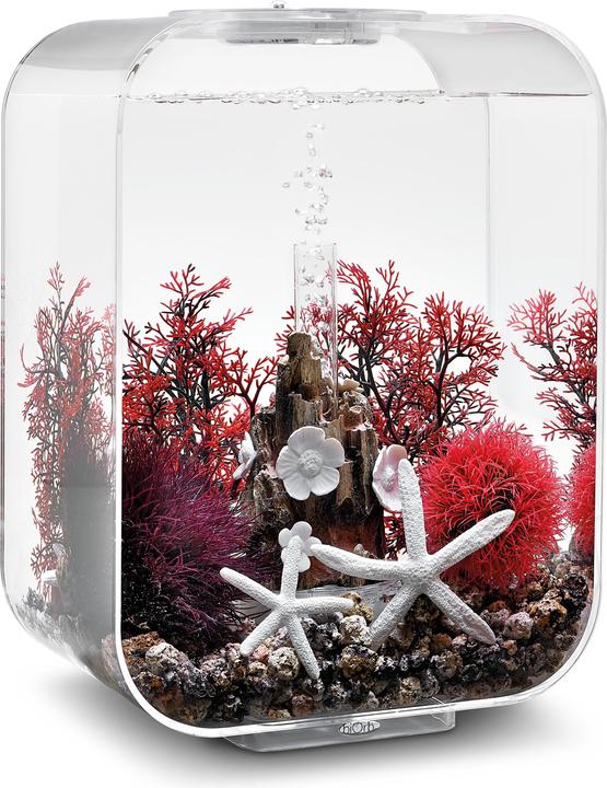 Actual product image Oase biOrb Aquarium 15 Decor Set (Embellishment, other items)