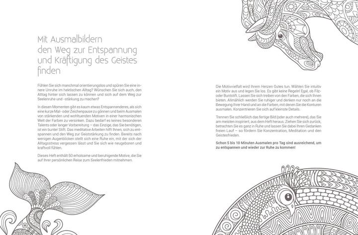 Produktbild Inspiration Seelenbegleiter | 50 leuchtende Motive zum Ausmalen für spirituelle Kraft und Energie