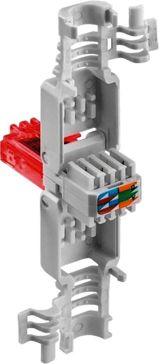 Produktbild Goobay RJ45 Stecker CAT 6 UTP ungeschirmt (U/UTP, CAT6, 0.05 m)