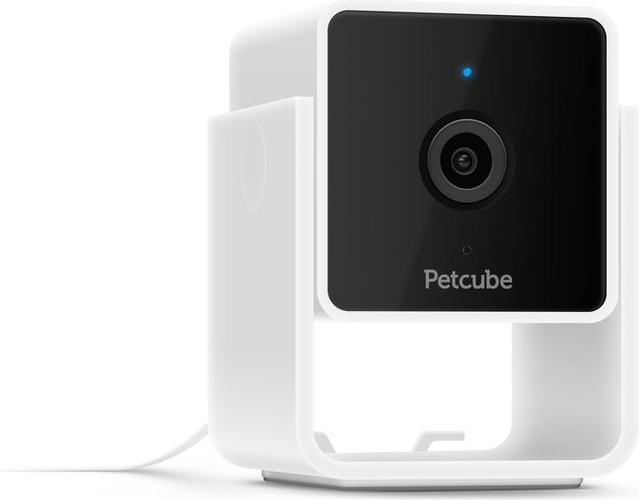 Petcube Haustierkamera (Katzenminzespielzeug)