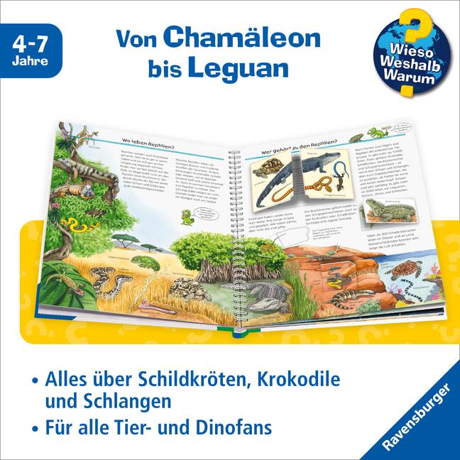 Image du produit Ravensburger Alles über Reptilien (Allemand, Patricia Mennen, 2017)
