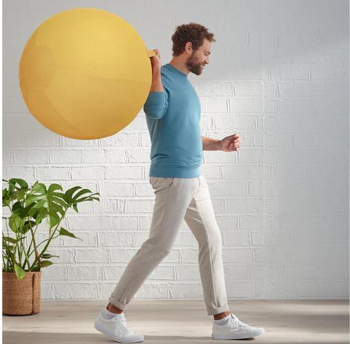 Image du produit Leitz Ballon-siège Ergo Cosy Active (65 cm)