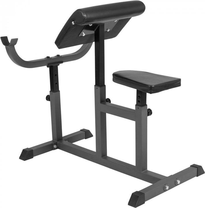 Gyronetics Bizeps Curlbank