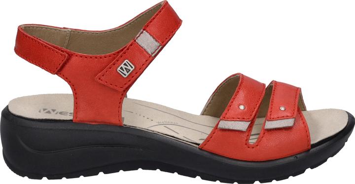 Actual product image Westland 25902-644 (41)