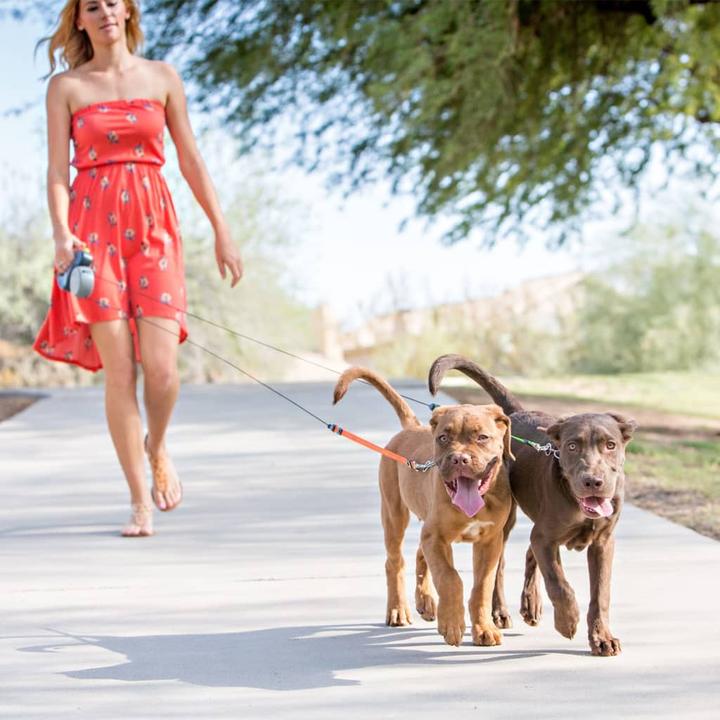 Produktbild Wigzi Dual Doggie 2.0 (One Size, Hund, Allgemein)