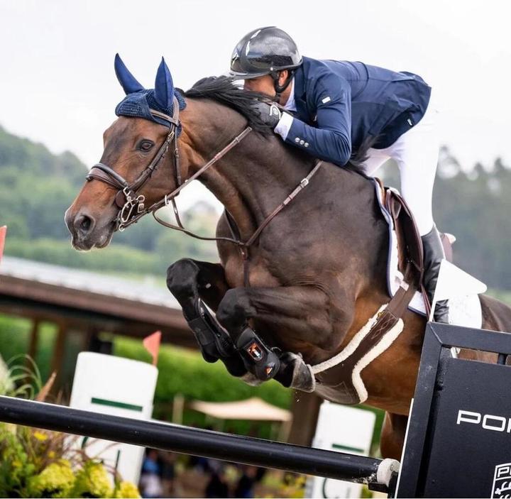 Image du produit NGB Sports gants d'équitation (M)
