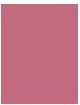 Produktbild Makeup Revolution Fast Base Blush (Blush)
