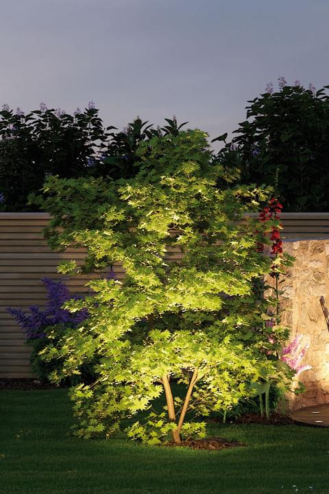 Image du produit Paulmann Kit de démarrage Outdoor Plug & Shine Sting (655 lm, IP67)