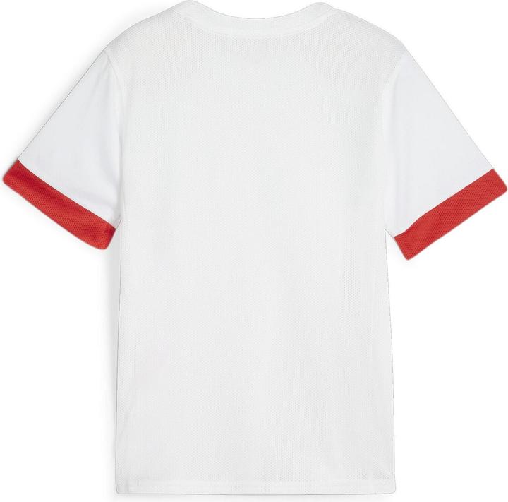 Immagine prodotto Puma Maglia da gara teamGOAL jr (116)