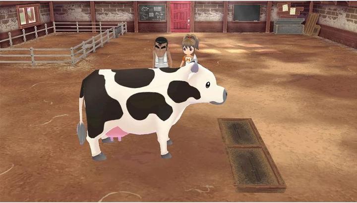 Produktbild Marvelous Story of Seasons: A Wonderful Life (Switch, Switch Lite, Switch OLED, DE)