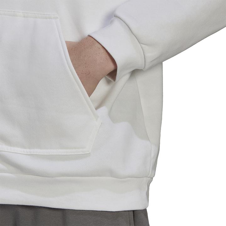 Actual product image adidas Entrada 22 hoodie men (M)