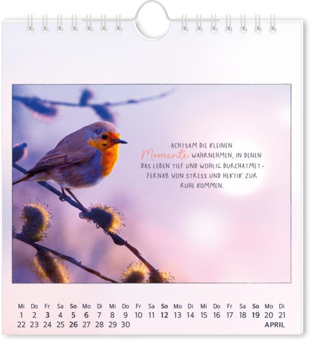 Produktbild Postkartenkalender 2026 Traumtage (16 x 17 cm, Deutsch)
