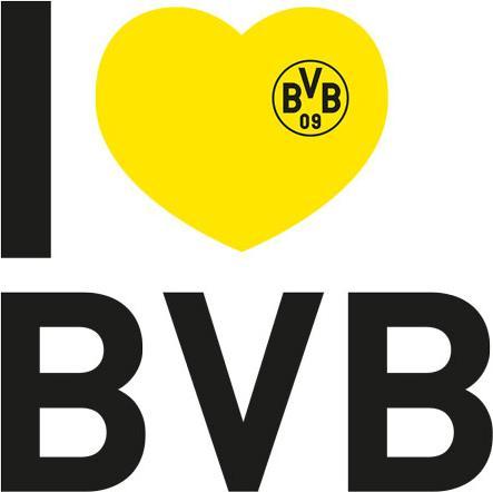 Produktbild Borussia Dortmund I love BVB (100 x 100 cm)