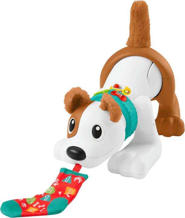 Actual product image Fisher-Price - 123 Crawl With Me Puppy-DU
