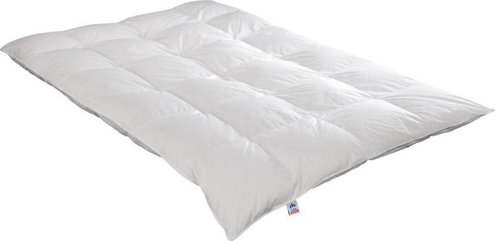 Irisette Nora down cassette duvet extra warm