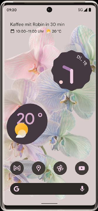 Actual product image Google Pixel 6 Pro (128 GB, Cloudy White, 6.70", SIM + eSIM, 50 Mpx, 5G)
