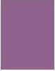 Actual product image Shiseido Microliner Eyeliner (09 Violet)