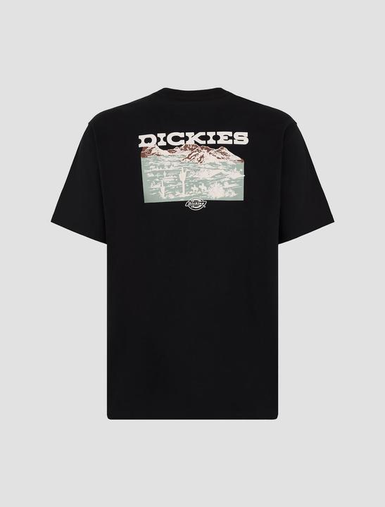 Produktbild Dickies Landascape Ss Tee Black (L)
