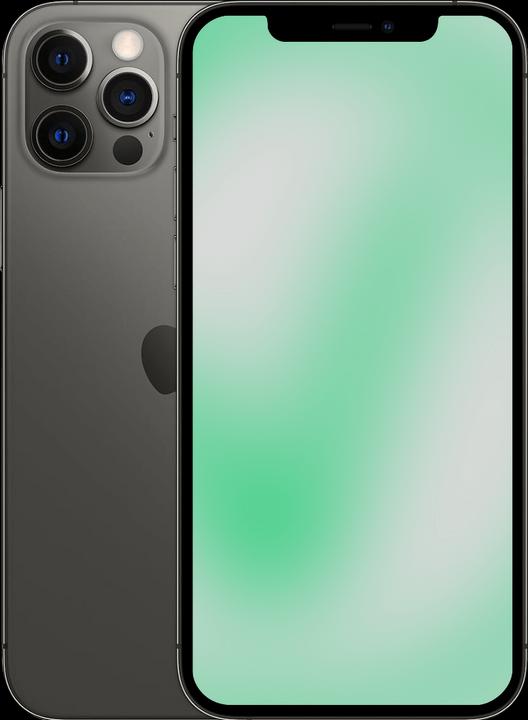 Actual product image Revendo iPhone 12 Pro (512 GB, Graphites, 6.10", 12 Mpx, SIM + eSIM, B / Very good)