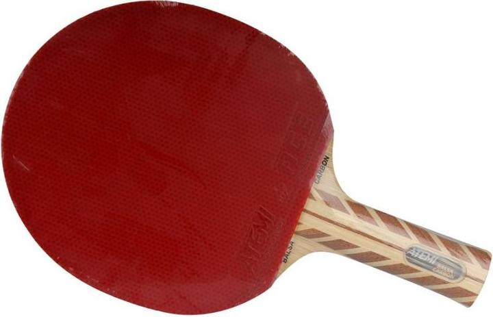 Image du produit Atemi Nouveau Raquette de ping-pong anatomique 5000 Pro