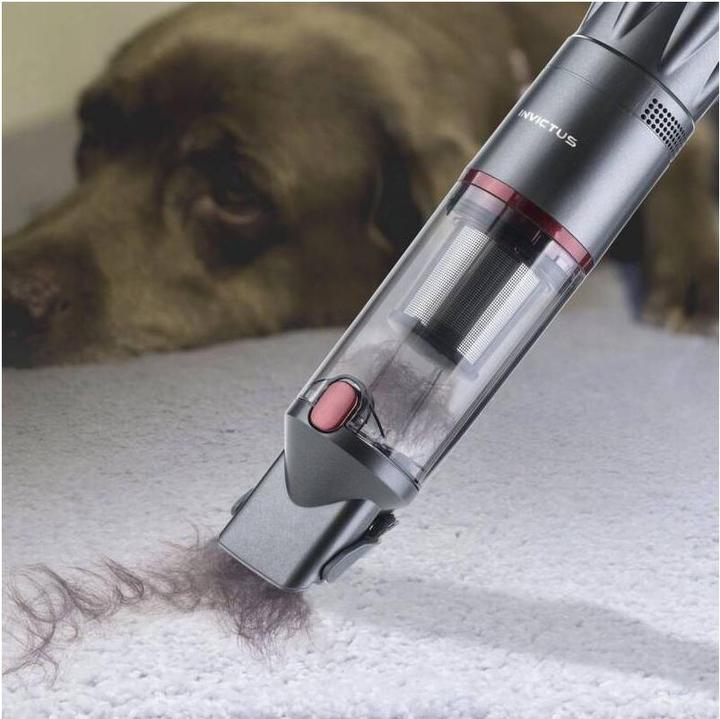 Actual product image Genius Invictus One