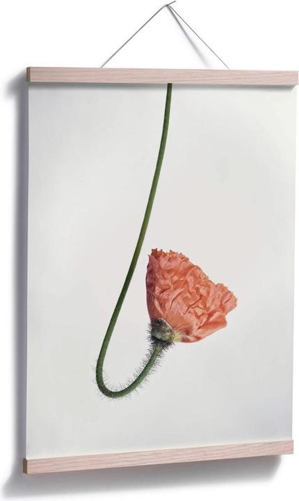 Produktbild Trenddeko Die rote Blüte 02 (30 x 40 cm)