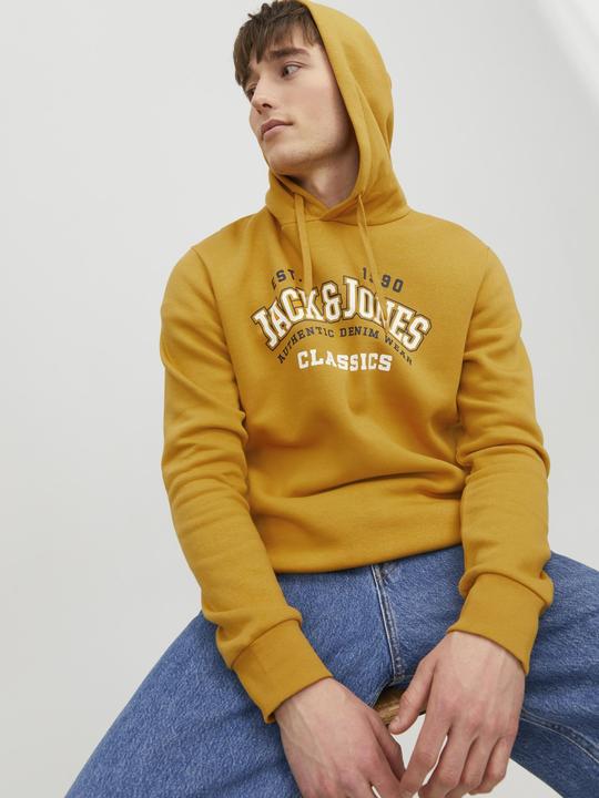 Image du produit Jack & Jones Logo Hoodie (XXL)