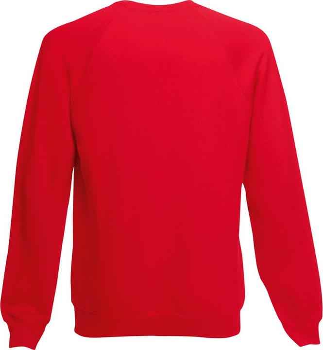 Actual product image Fruit of the Loom Jumper (7, 8)