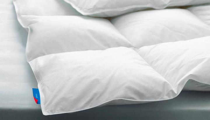 Image du produit Dauny Couette d'été Climaactive® Plus Superlight (240 g, 160 x 210 cm)
