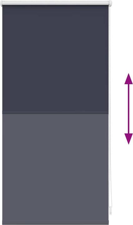 Image du produit VidaXL Aulikki (40 x 100 cm)