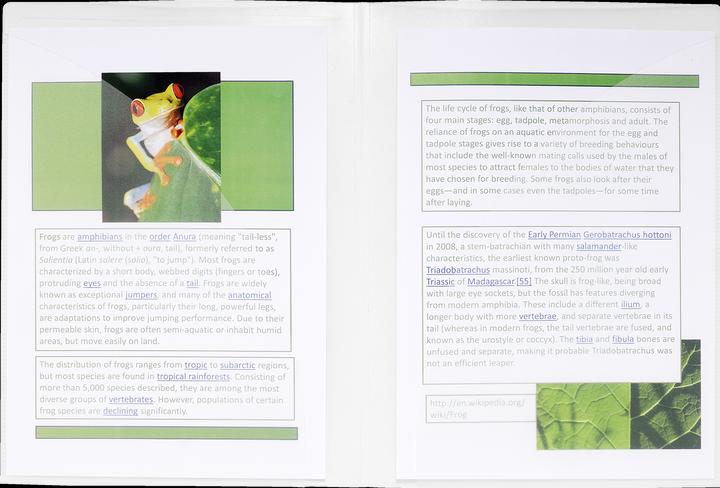 Produktbild Exacompta Präsentationsmappen (A3, 1 x)