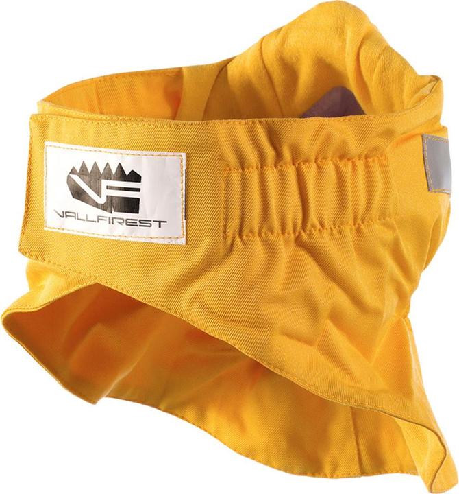 Actual product image Vallfirest Face mask with respirator, Nomex (FFP3, 1 x)