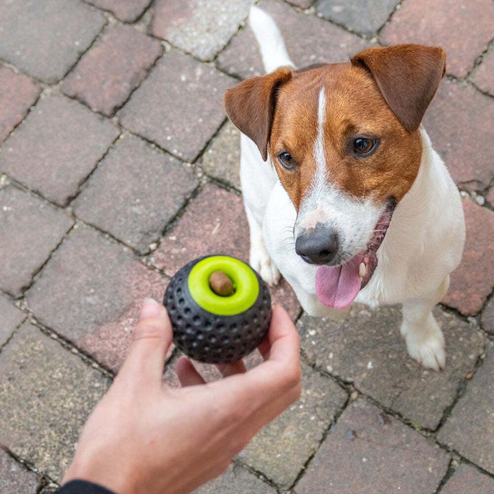 Image du produit Ferplast Chewa Boing (Jouet à balle chien)