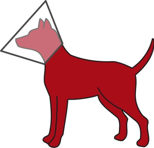 Produktbild Trixie Schutzkragen (Hund, Katze)