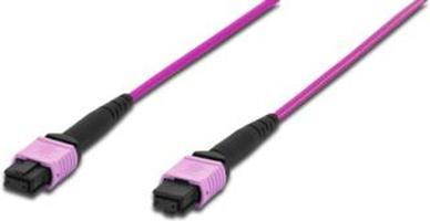 Produktbild Digitus MPO Patchkabel, OM4, 1m (LSOH, CAT6, 1 m)