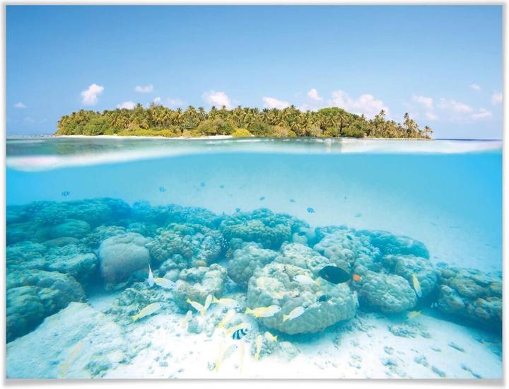 Actual product image Trenddeko Maldives underwater world (60 x 50 cm)