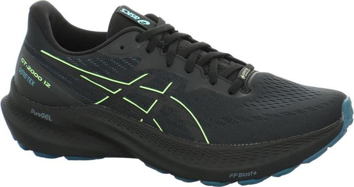Image du produit ASICS Performance GT-2000 12 GTX (44)