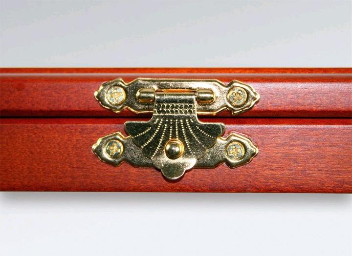 Immagine prodotto Safe Vetrina portamonete con incavi rotondi per 27 x 30 mm Ø