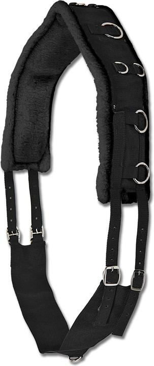 Actual product image Waldhausen Lunging girth soft