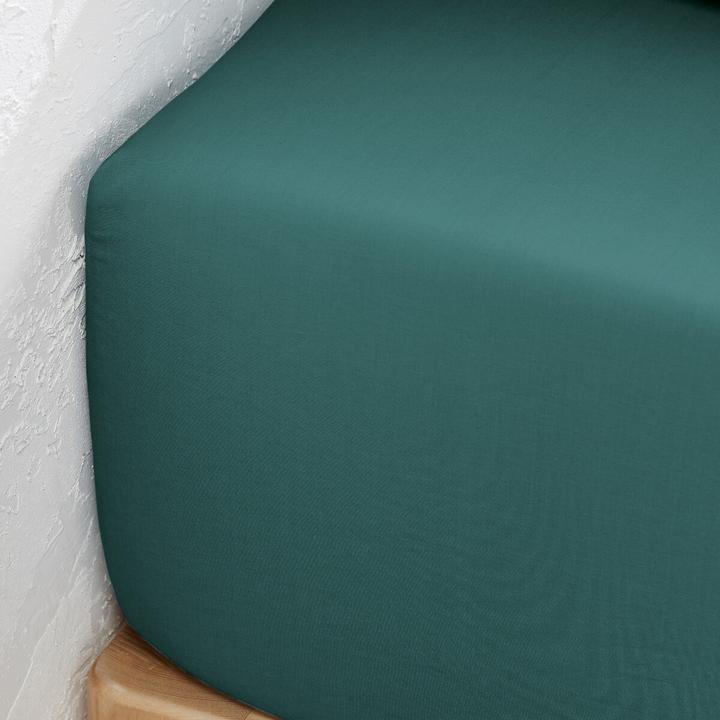 Produktbild La Redoute Interieurs Percale Bio (90 x 190 cm)