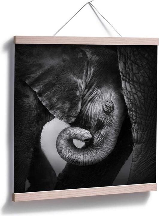 Immagine prodotto Trenddeko Il cucciolo di elefante (30 x 30 cm)