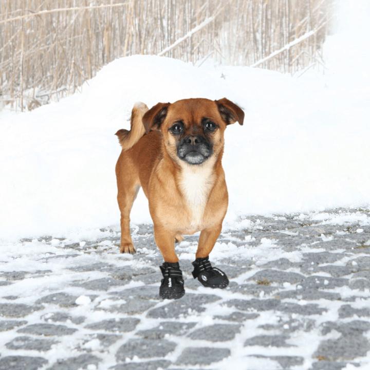 Actual product image Trixie Walker Active (M, Dog boots)