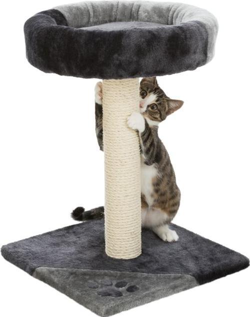 Produktbild Trixie Junior Kratzbaum Tarifa (52 cm, Schwarz, Grau)
