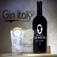 Produktbild Madame Geneva Gin Gin Rouge (1 x 70 cl)