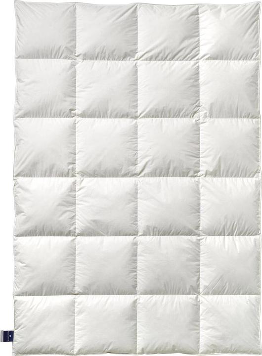 Produktbild Billerbeck Daunendecke 306 Nena Mono medium, Füllung: 100% Gänsedaunen (530 g, 135x200 cm)
