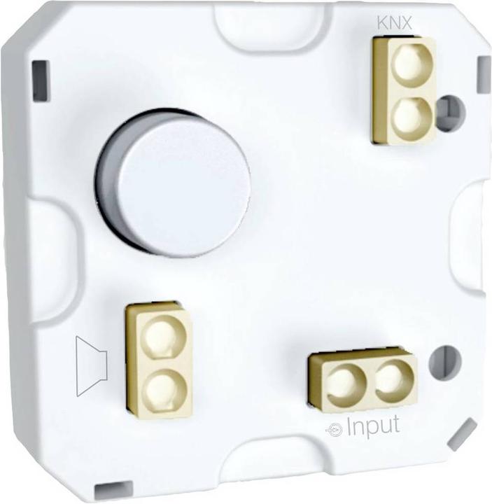 Buttons + Switches