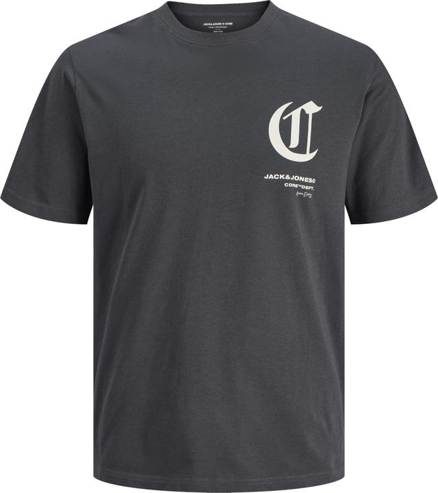 Actual product image Jack & Jones Jcoversion Tee Ss Crew Neck Stydss25 (L)