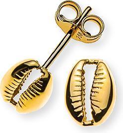 Natsumi Schmuck Ohrstecker Gelbgold 18K/750 Kauri Muschel (750/18 K Gelbgold)