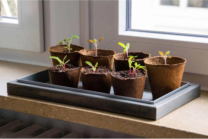 Image du produit Dobar Mini-serre avec pots